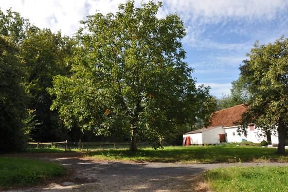 Noortweghe Glamping - photo 0