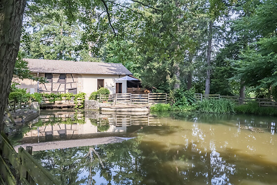 Moulin de la Brevette - photo 14