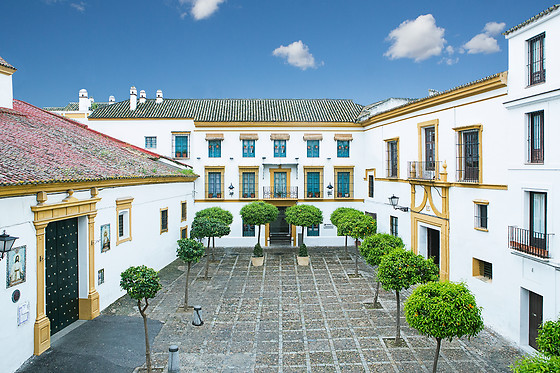 HOTEL HOSPES LAS CASAS DEL REY DE BAEZA - photo 19