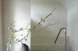LA DEHESA DE DON PEDRO