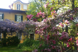 Villa Mirano B&B