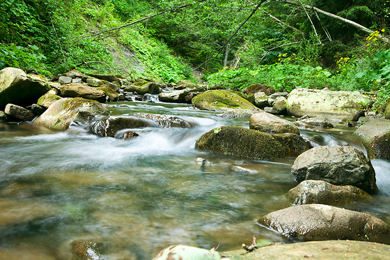 AMADABLAM AVENTURA - photo 20