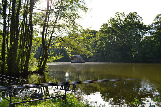 Domaine des Vaulx - photo 7