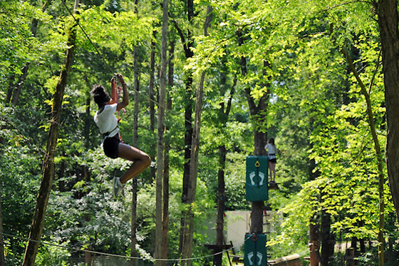 Natura Game - photo 6
