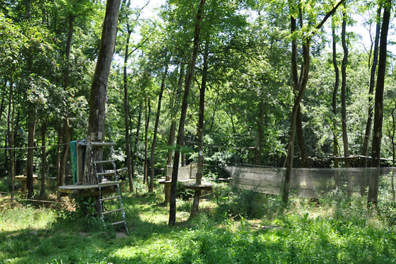 Natura Game - photo 4
