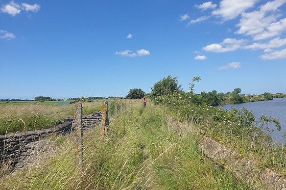 Bayo Eethuis - photo 4