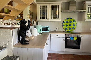 Séjours 3 nuits pour 2 au Bungalow du Bonsoy - Fauve 1 à Blaimont (Namur)