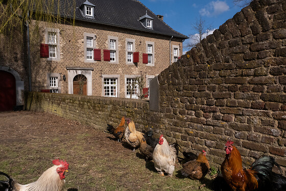 Meschermolen - photo 1