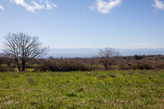 Ac Shop - Domaine de Malouzies - photo 8