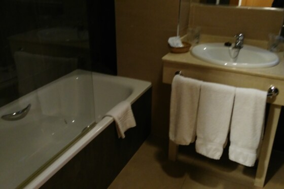HOTEL ALFAGEME - photo 13