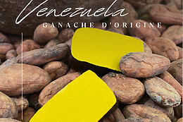 L'Alchimie du Chocolat