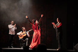 TEATRO FLAMENCO BARCELONA