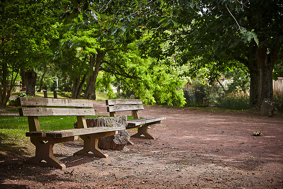 Les Jardins de l'Anjou - photo 16
