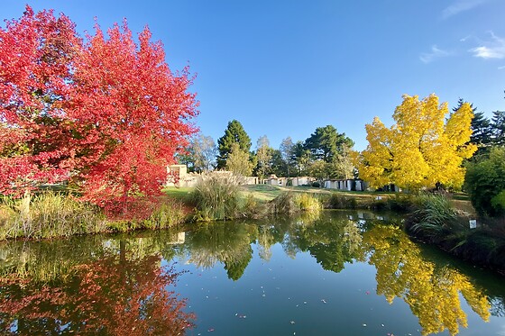 Les Jardins de l'Anjou - photo 17