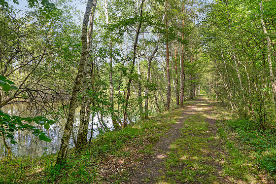 Etang des fontenils - photo 8