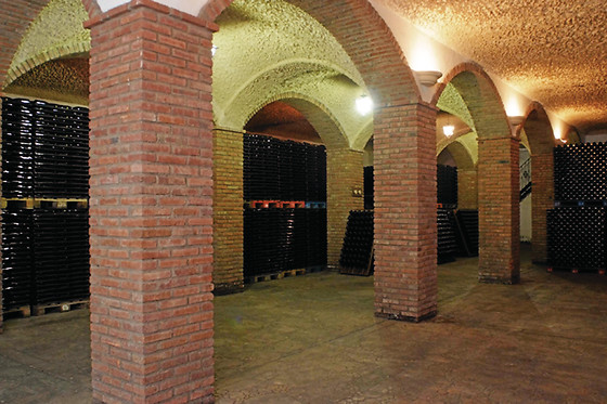 BODEGAS ROMALE - photo 1