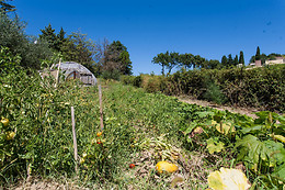Podere Caldaruccio Agriturismo La Pineta