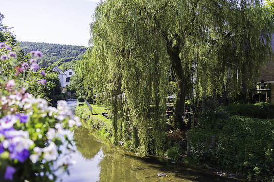 Hôtel du Commerce Houffalize - photo 20