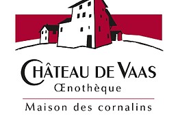Château de Vaas (Valais)