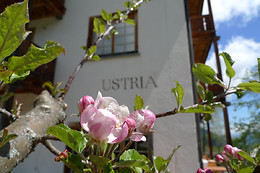 Hotel Ucliva